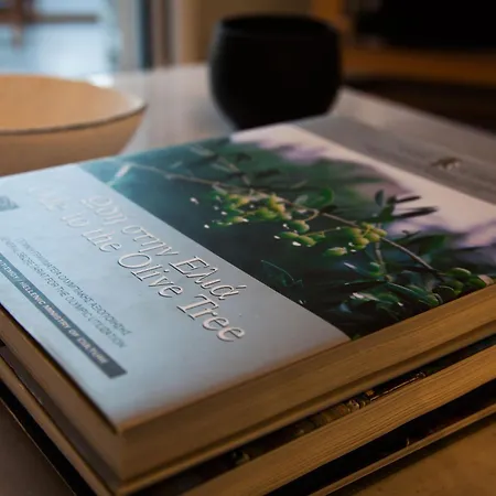 La Casa Bianca Appartamento Skineas